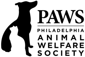 PAWS_newlogo_black